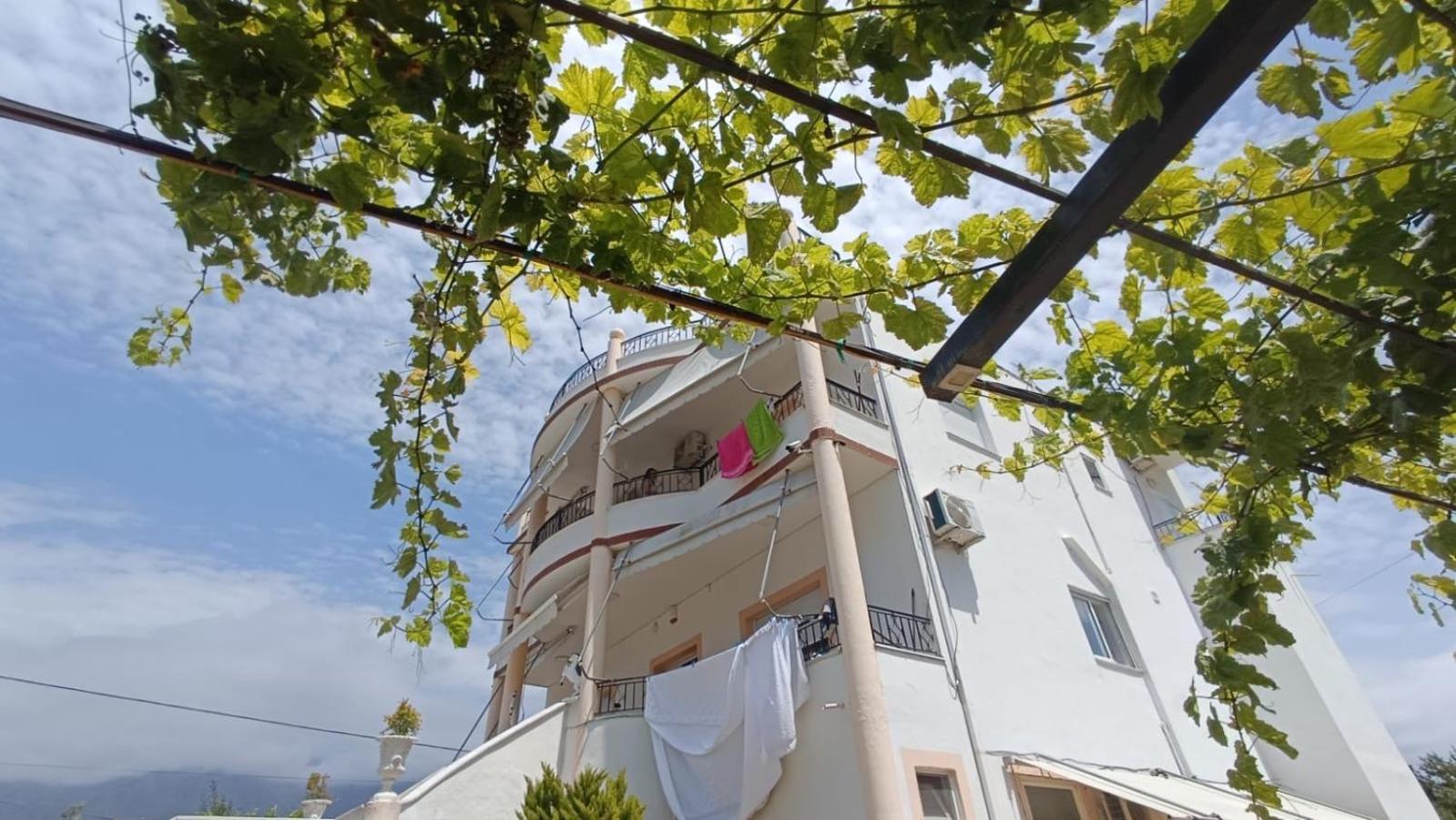 Apartment Rudi